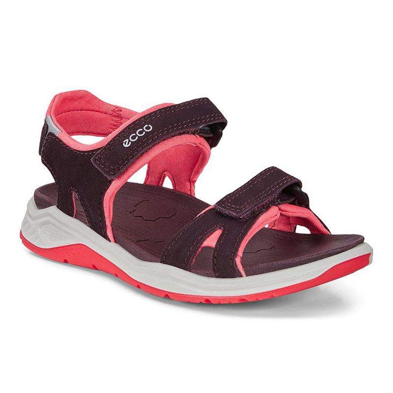 Kids Ecco X-Trinsic K - Sandals Purple - India LPGBOH817
